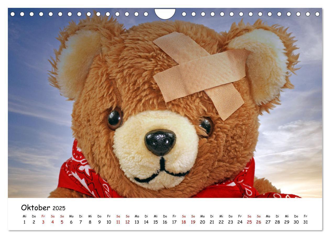 Bild: 9783383964954 | Allerliebste Teddybären (Wandkalender 2025 DIN A4 quer), CALVENDO...