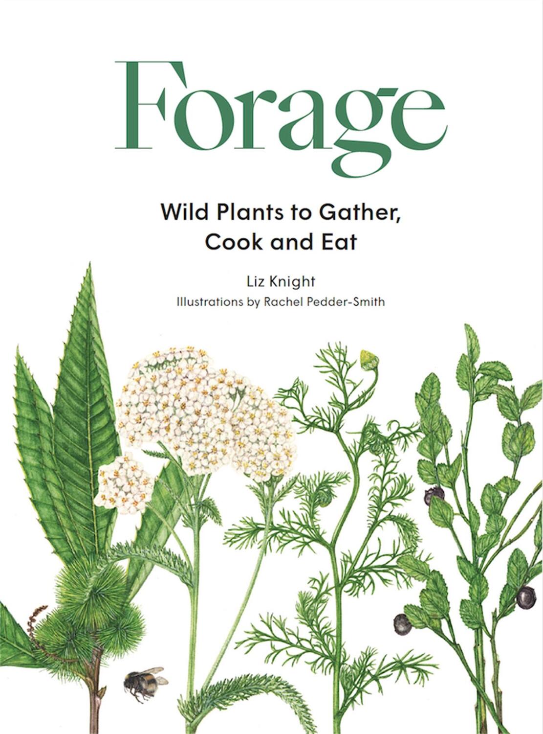 Cover: 9781786277350 | Forage | Wild plants to gather and eat | Liz Knight | Buch | Gebunden