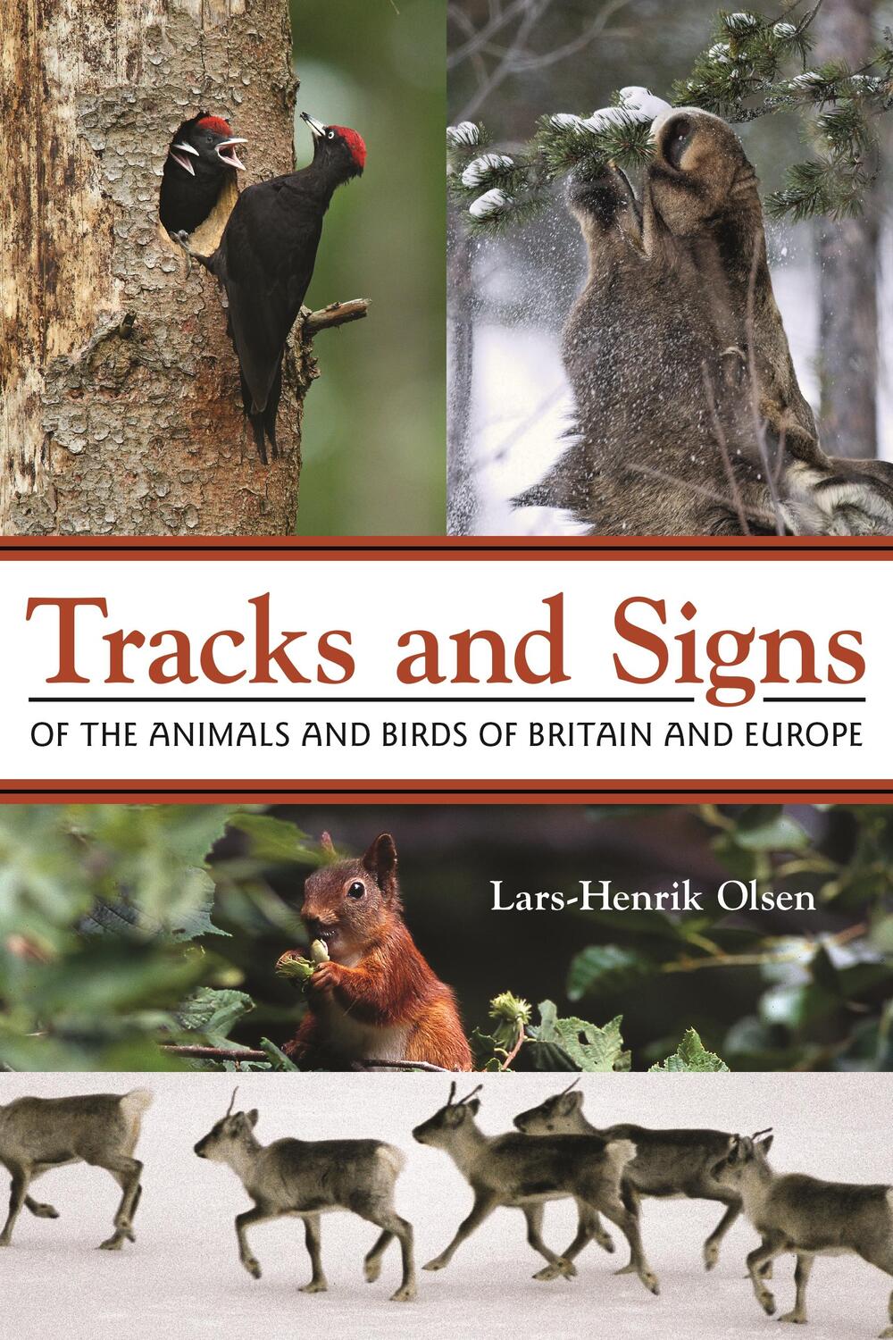 Cover: 9780691157535 | Tracks and Signs of the Animals and Birds of Britain and Europe | Buch