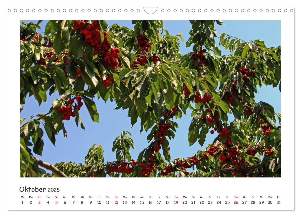 Bild: 9783435817252 | Tor des Südens (Wandkalender 2025 DIN A3 quer), CALVENDO...