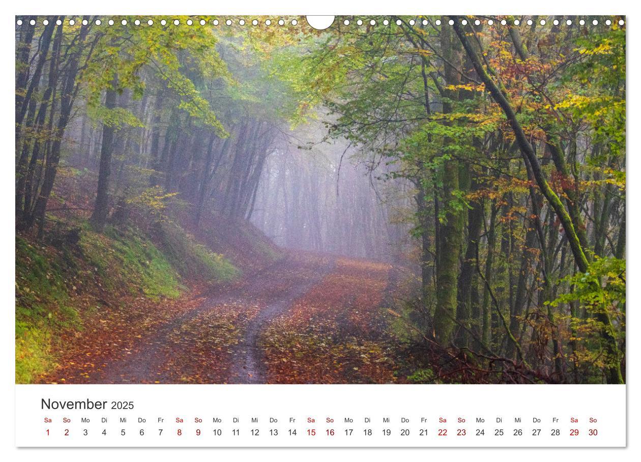 Bild: 9783435018826 | Das Sauerland im Wechsel der Jahreszeiten (Wandkalender 2025 DIN A3...