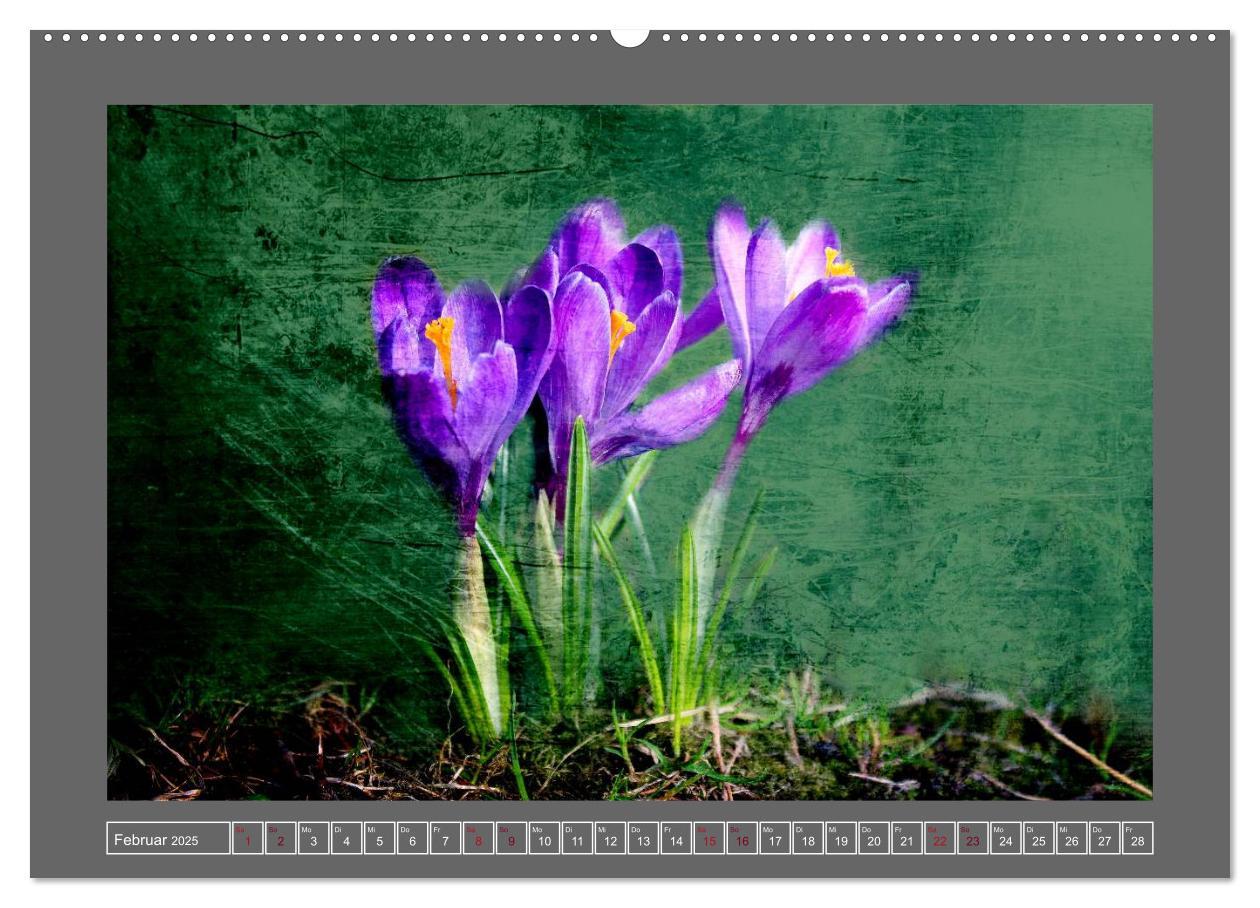 Bild: 9783435835102 | Blumen für dich (Wandkalender 2025 DIN A2 quer), CALVENDO...