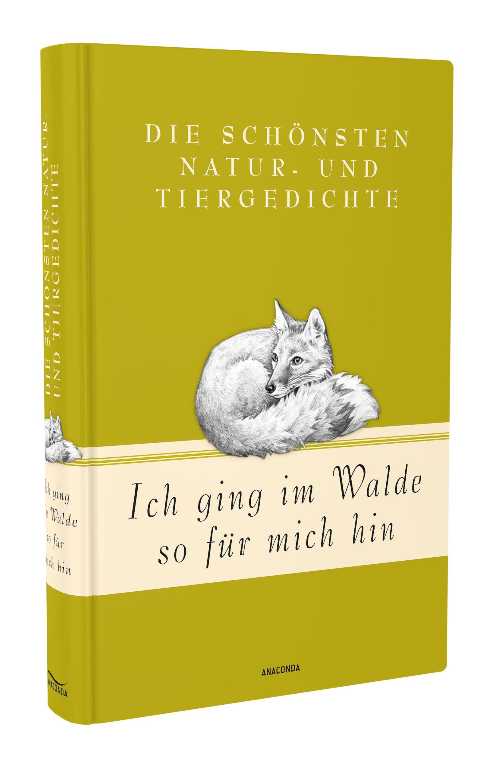 Bild: 9783730607091 | Ich ging im Walde so für mich hin | Jan Strümpel | Buch | 256 S.