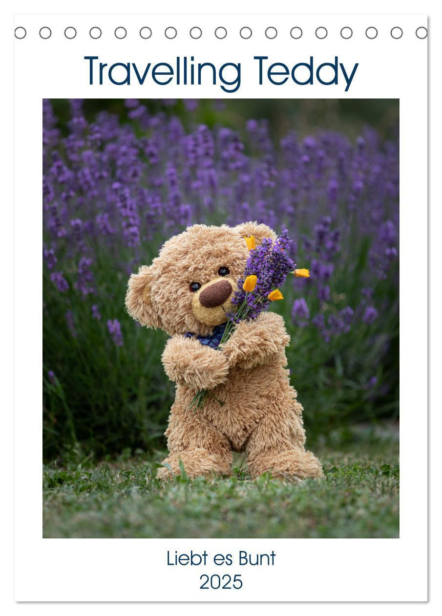 Cover: 9783435890262 | Travelling Teddy liebt es Bunt (Tischkalender 2025 DIN A5 hoch),...