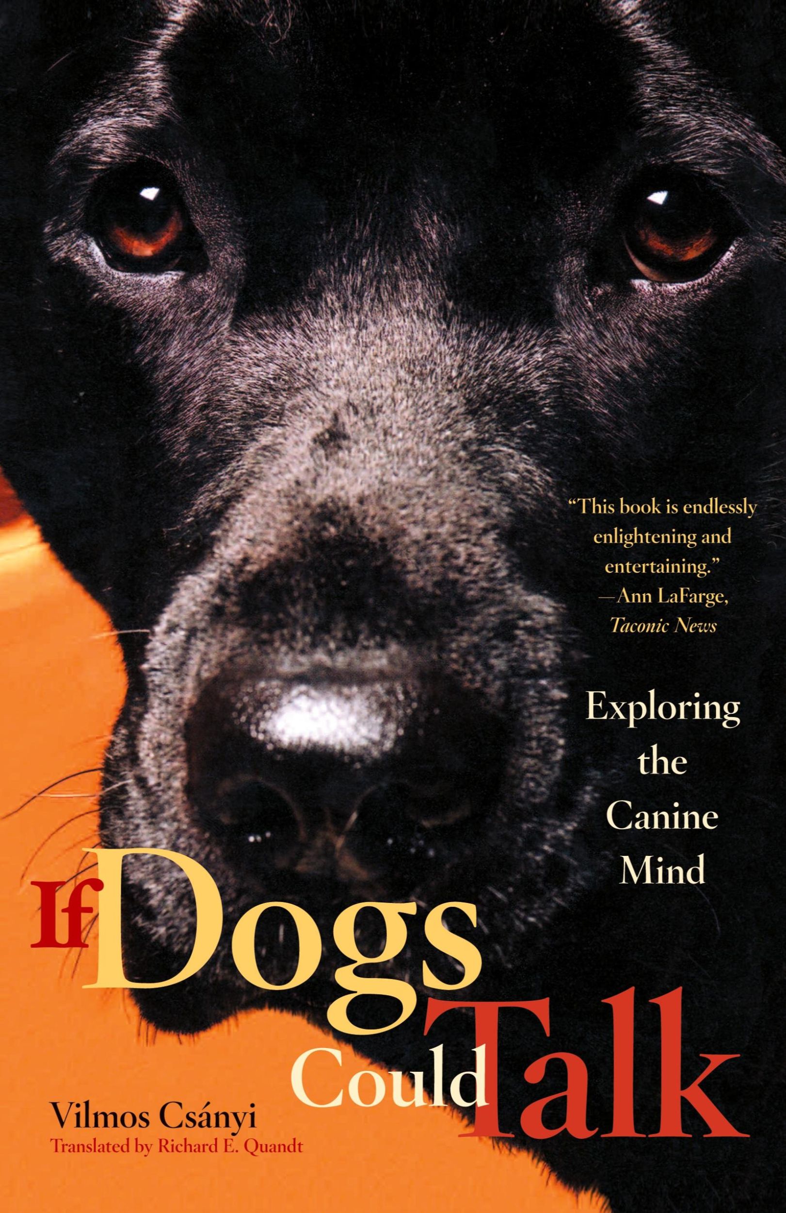 Cover: 9780865477292 | If Dogs Could Talk | Exploring the Canine Mind | Vilmos Csanyi | Buch