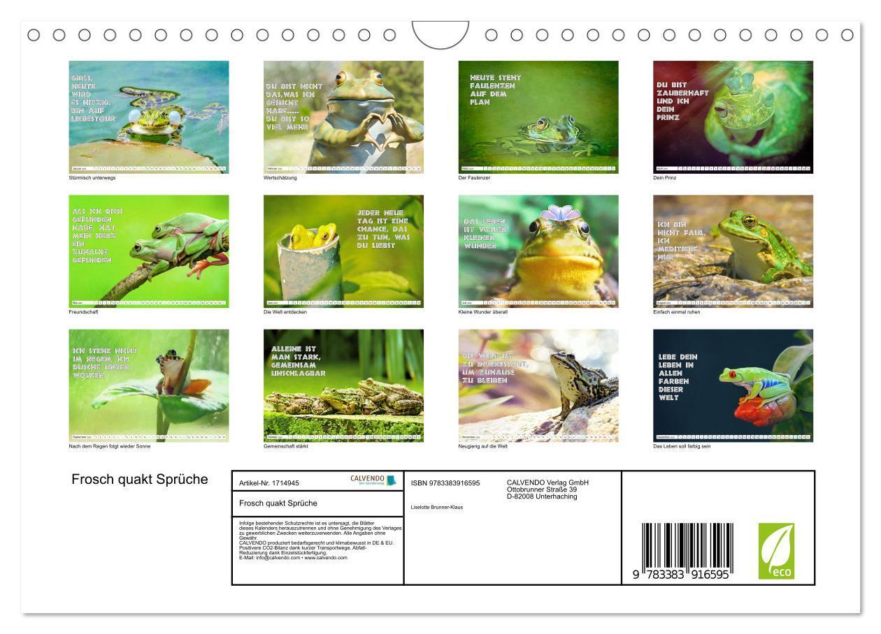 Bild: 9783383916595 | Frosch quakt Sprüche (Wandkalender 2025 DIN A4 quer), CALVENDO...