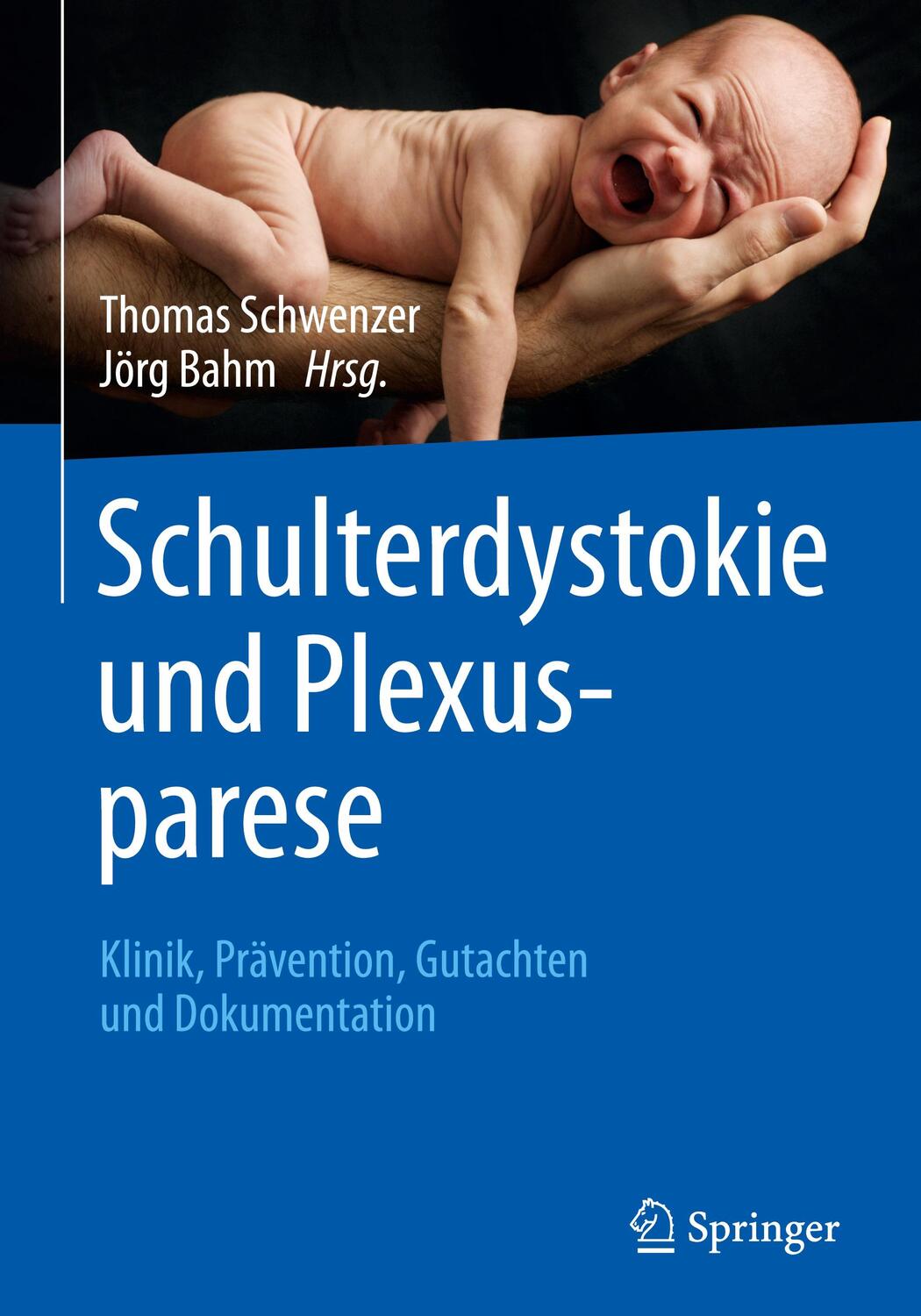 Cover: 9783662487860 | Schulterdystokie und Plexusparese | Thomas Schwenzer (u. a.) | Buch