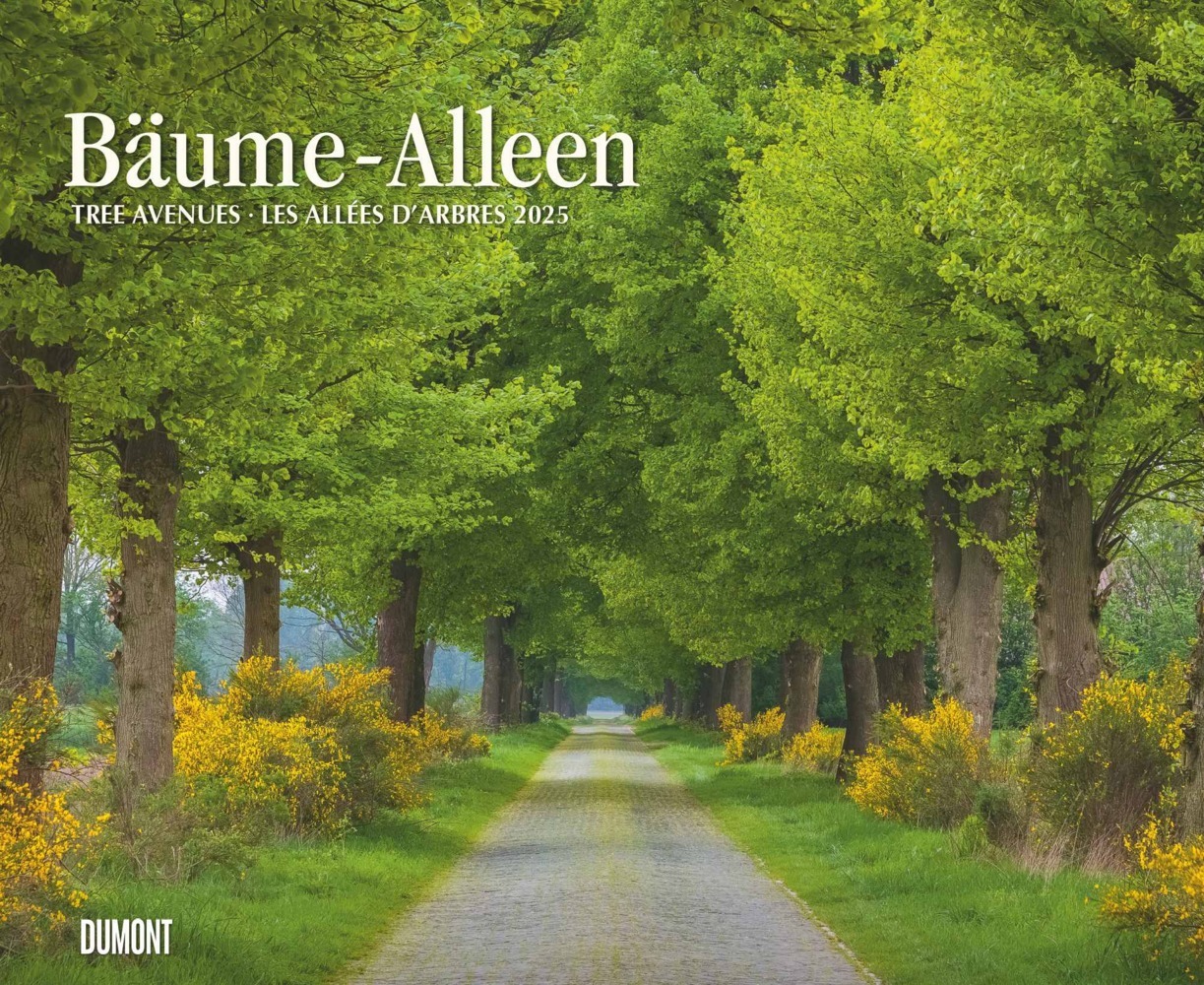 Cover: 4250809652702 | DUMONT - Bäume - Alleen 2025 Wandkalender 52x42,5cm, Kalender mit...