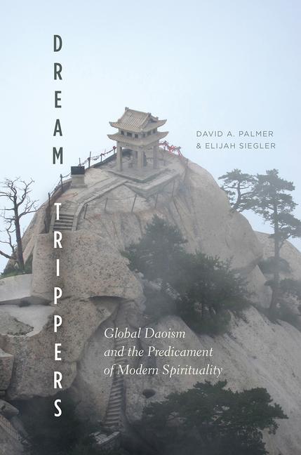Cover: 9780226484846 | Dream Trippers | David A. Palmer (u. a.) | Taschenbuch | Englisch