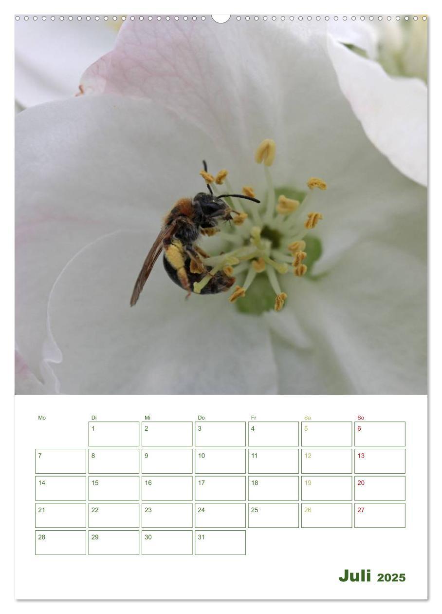 Bild: 9783457030011 | Bienen-Terminplaner 2025 (Wandkalender 2025 DIN A2 hoch), CALVENDO...