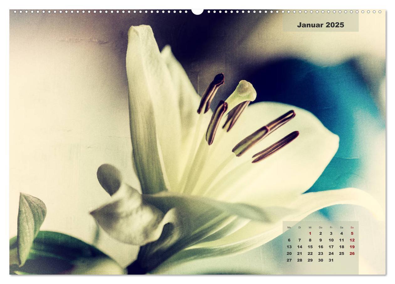 Bild: 9783435304523 | Blüten im Retro-Style (Wandkalender 2025 DIN A2 quer), CALVENDO...