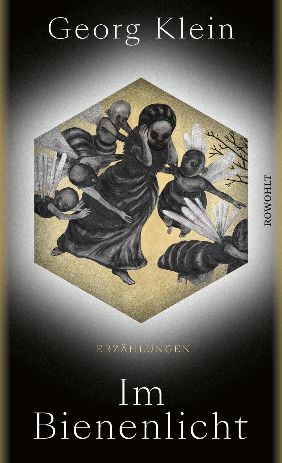 Cover: 9783498003050 | Im Bienenlicht | Georg Klein | Buch | Deutsch | 2023 | Rowohlt