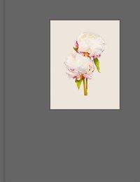Cover: 9783868287899 | Kenji Toma | The Most Beautiful Flowers | Kenji Toma | Buch | 196 S.
