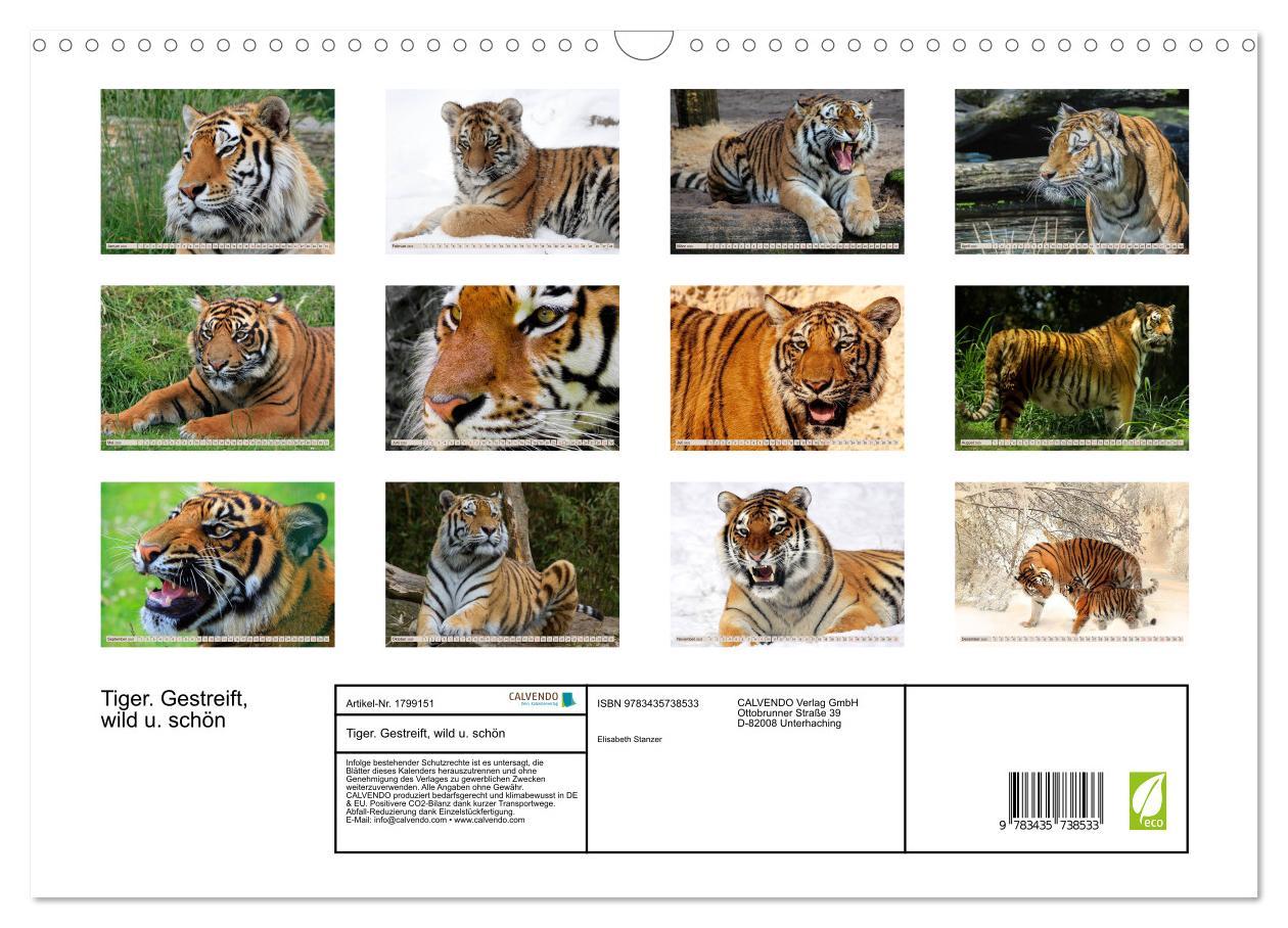 Bild: 9783435738533 | Tiger. Gestreift, wild u. schön (Wandkalender 2025 DIN A3 quer),...