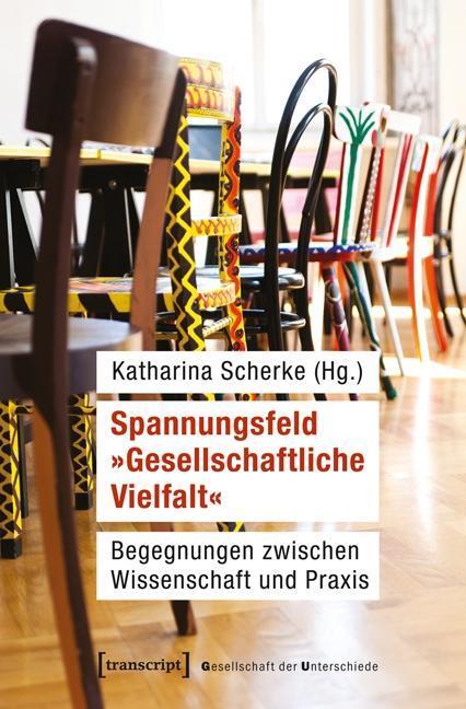 Cover: 9783837629644 | Spannungsfeld 'Gesellschaftliche Vielfalt' | Taschenbuch | 236 S.