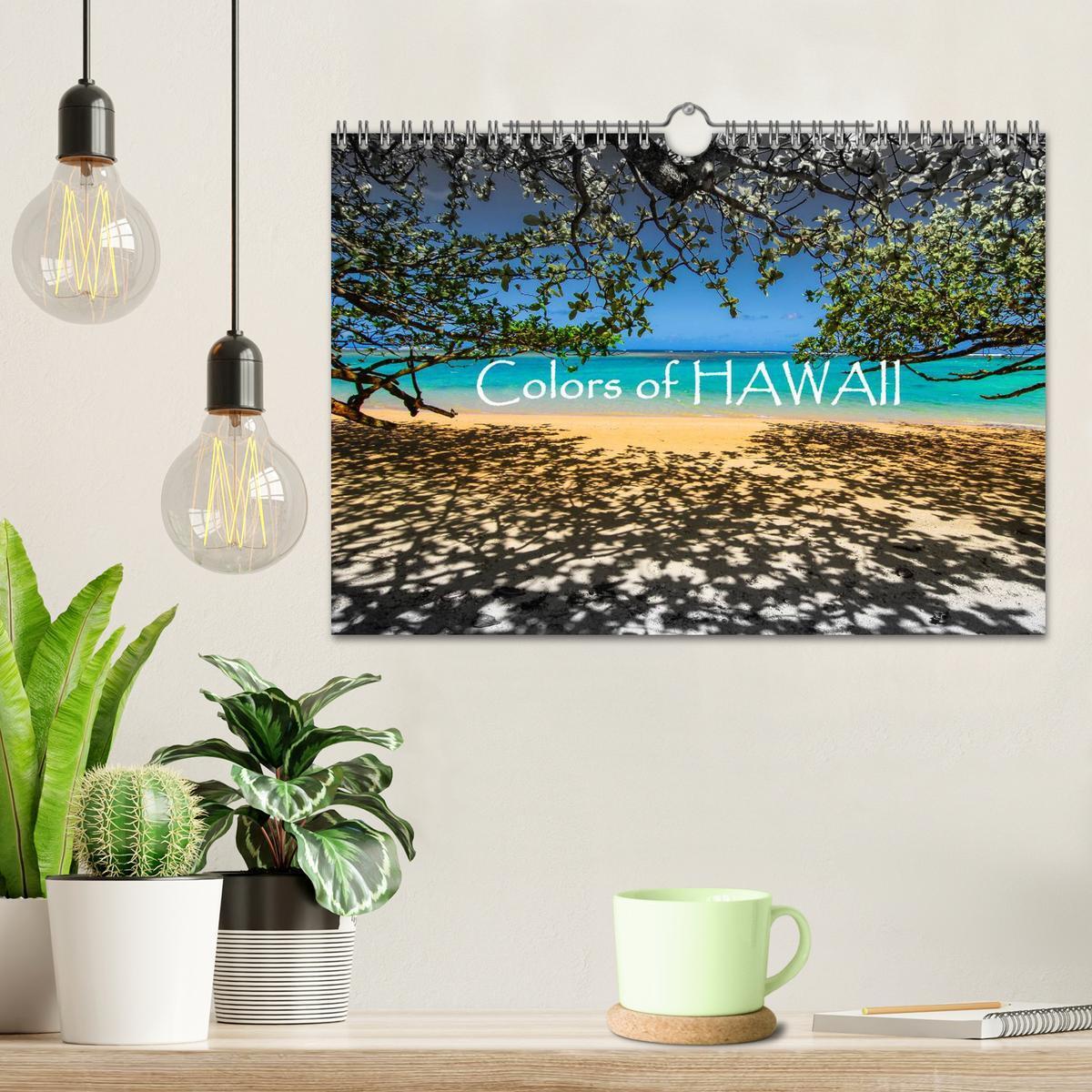 Bild: 9783435795161 | Colors of HAWAII (Wandkalender 2025 DIN A4 quer), CALVENDO...