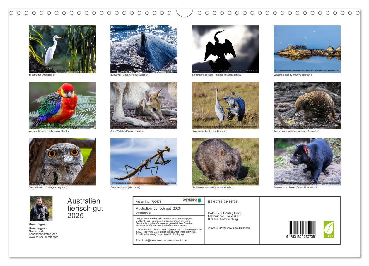 Bild: 9783435685738 | Australien tierisch gut 2025 (Wandkalender 2025 DIN A3 quer),...