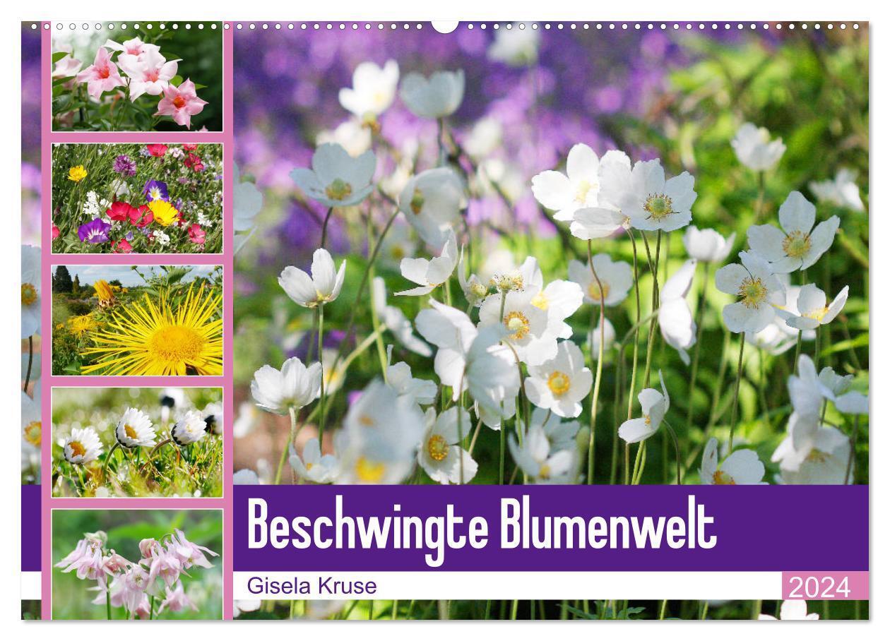 Cover: 9783675958081 | Beschwingte Blumenwelt (Wandkalender 2024 DIN A2 quer), CALVENDO...