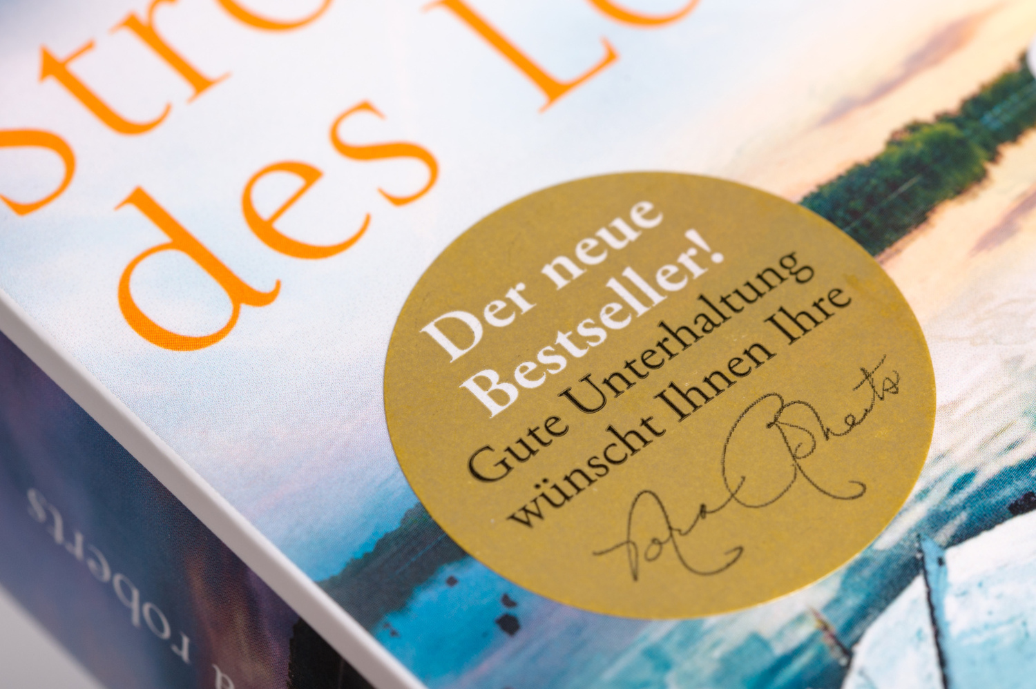 Bild: 9783453360853 | Strömung des Lebens | Roman | Nora Roberts | Taschenbuch | Deutsch