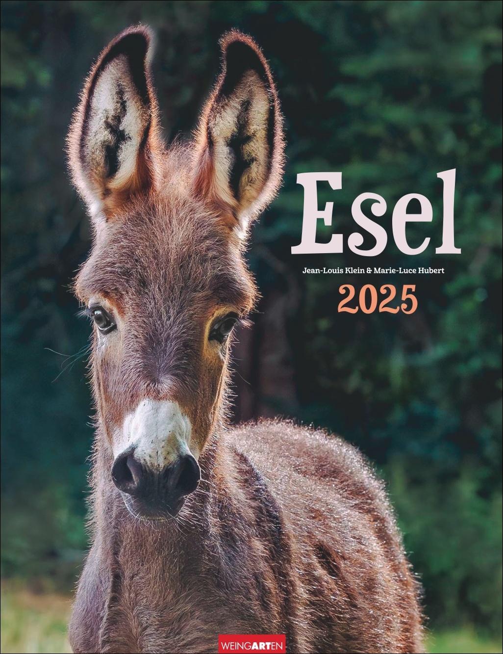 Cover: 9783839900451 | Esel Kalender 2025 | Kalender | Spiralbindung | 14 S. | Deutsch | 2025