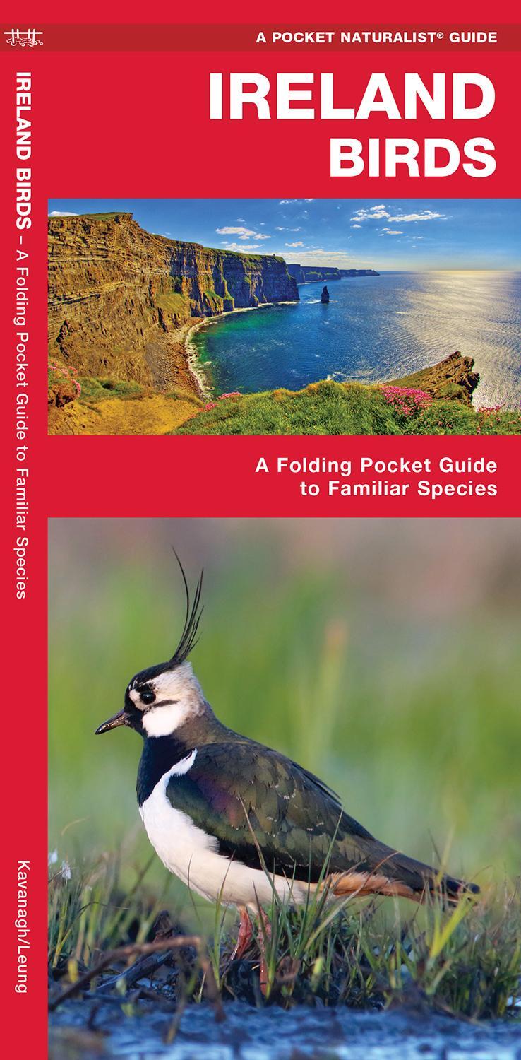 Cover: 9781620053539 | Ireland Birds | A Folding Pocket Guide to Familiar Species | Broschüre