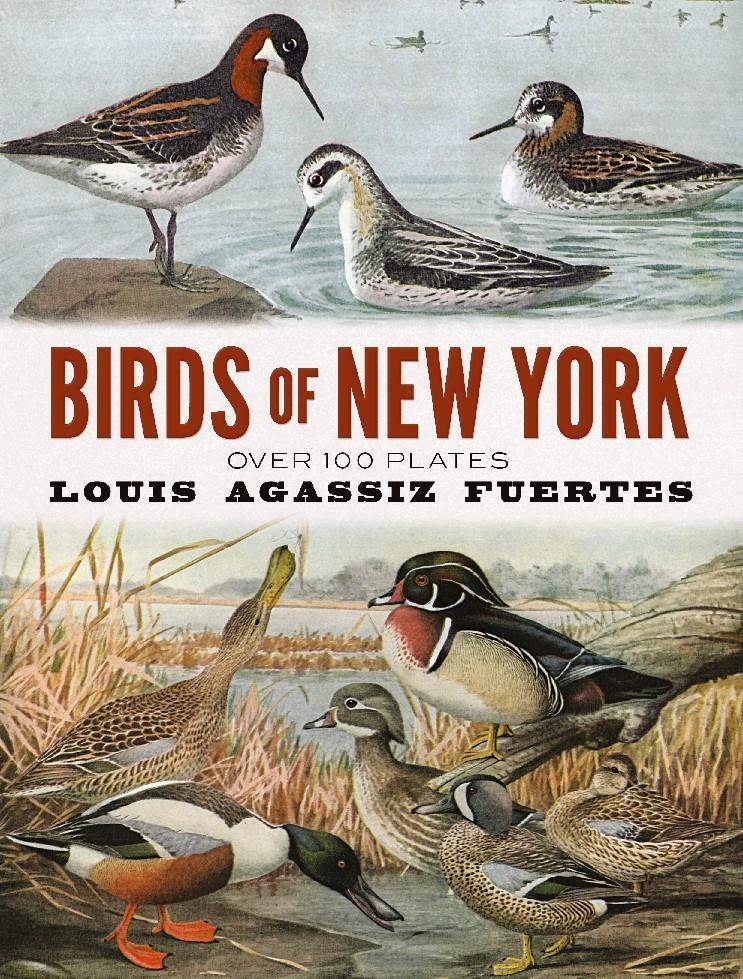 Cover: 9780486837406 | Birds of New York | Over 100 Plates | Louis Agassiz Fuertes | Buch