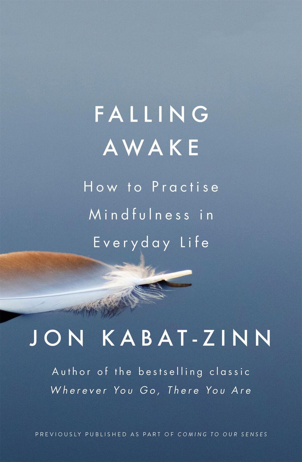 Cover: 9780349421094 | Falling Awake | How to Practice Mindfulness in Everyday Life | Buch