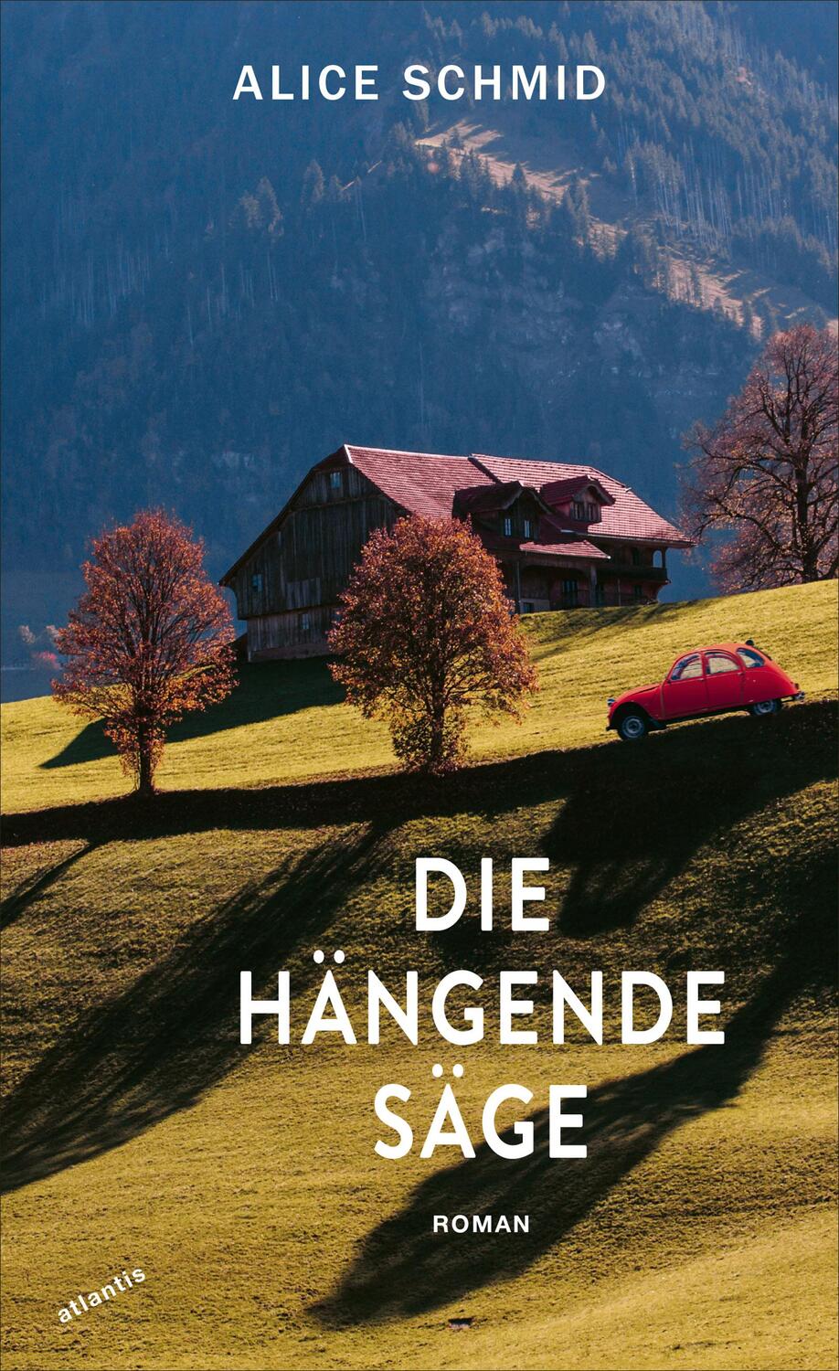 Cover: 9783715250304 | Die hängende Säge | Alice Schmid | Buch | 160 S. | Deutsch | 2024