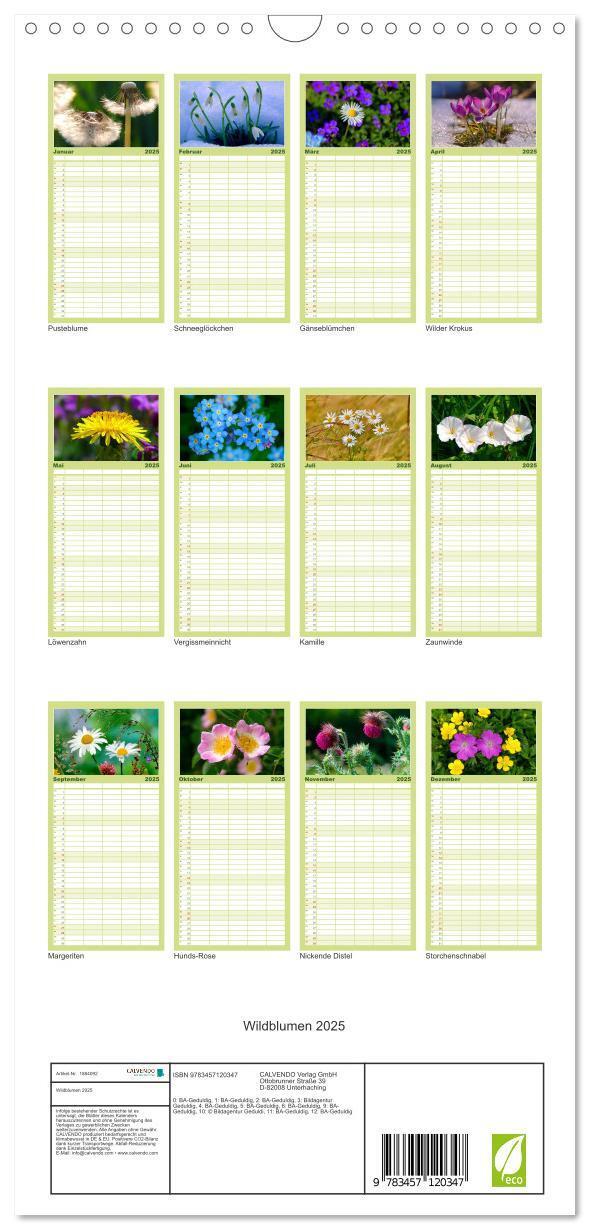 Bild: 9783457120347 | Familienplaner 2025 - Wildblumen 2025 mit 5 Spalten (Wandkalender,...