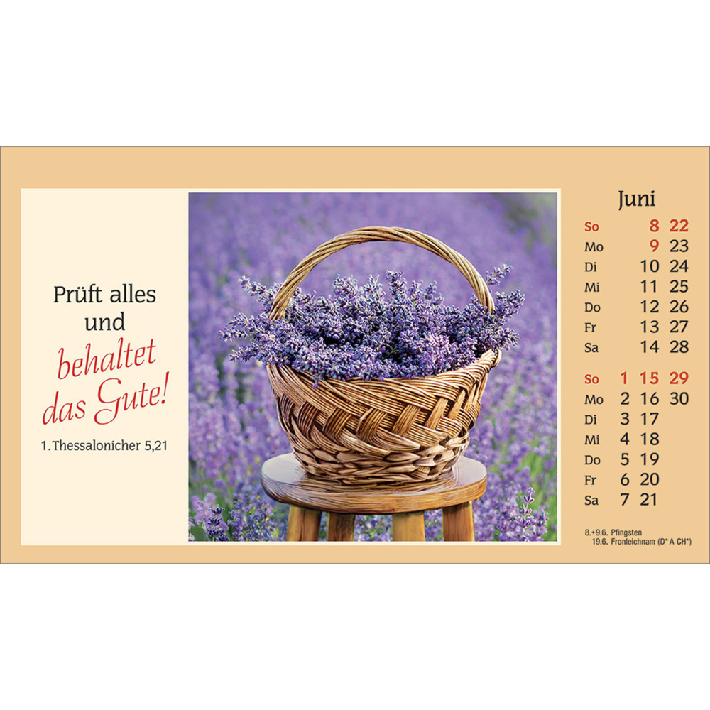 Bild: 9783754882054 | Der kleine Begleiter 2025 | Kalender | Spiralbindung. Spiralbindung