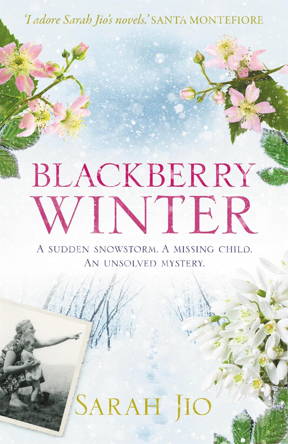 Cover: 9781409190776 | Blackberry Winter | Sarah Jio | Taschenbuch | Kartoniert / Broschiert