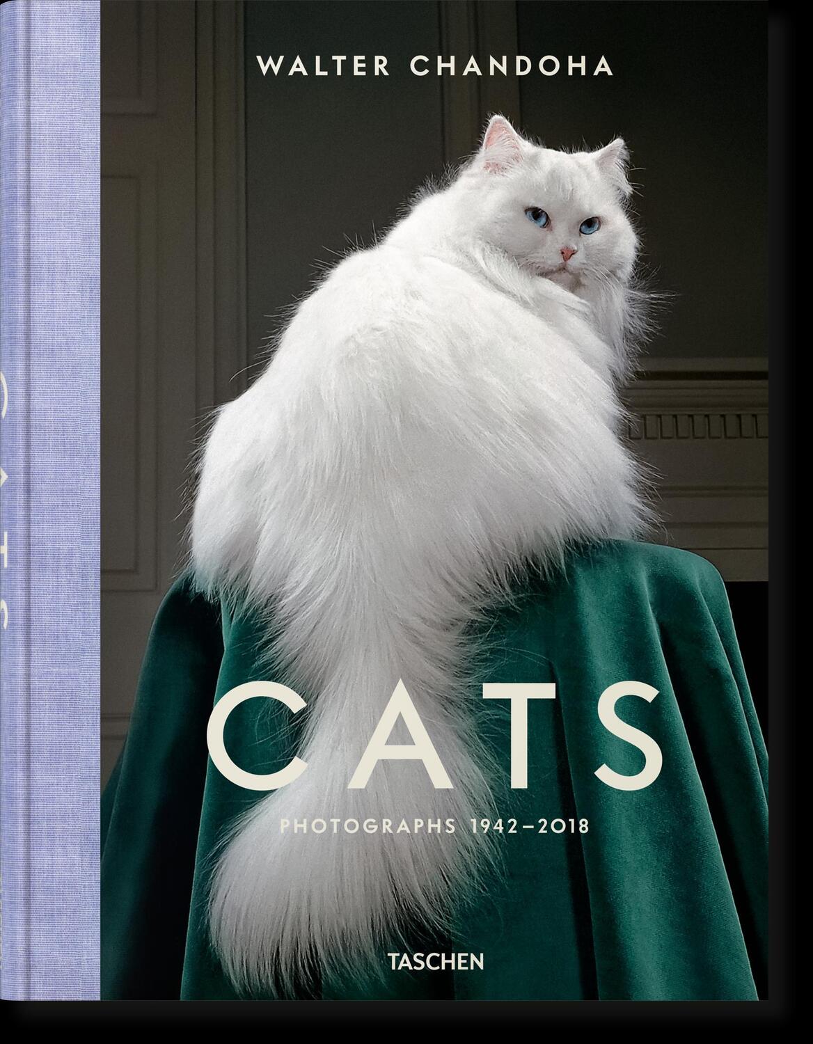 Cover: 9783836573856 | Walter Chandoha. Cats. Photographs 1942-2018 | Susan Michals | Buch
