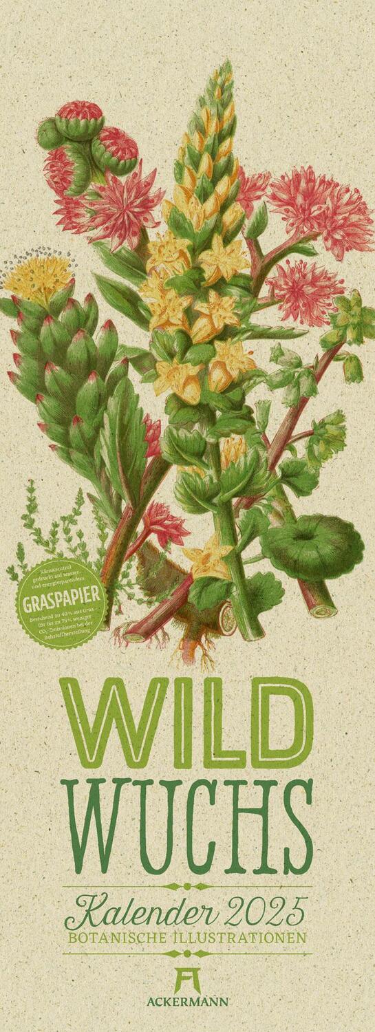 Cover: 9783838425290 | Wildwuchs - Botanische Illustrationen - Graspapier-Kalender 2025