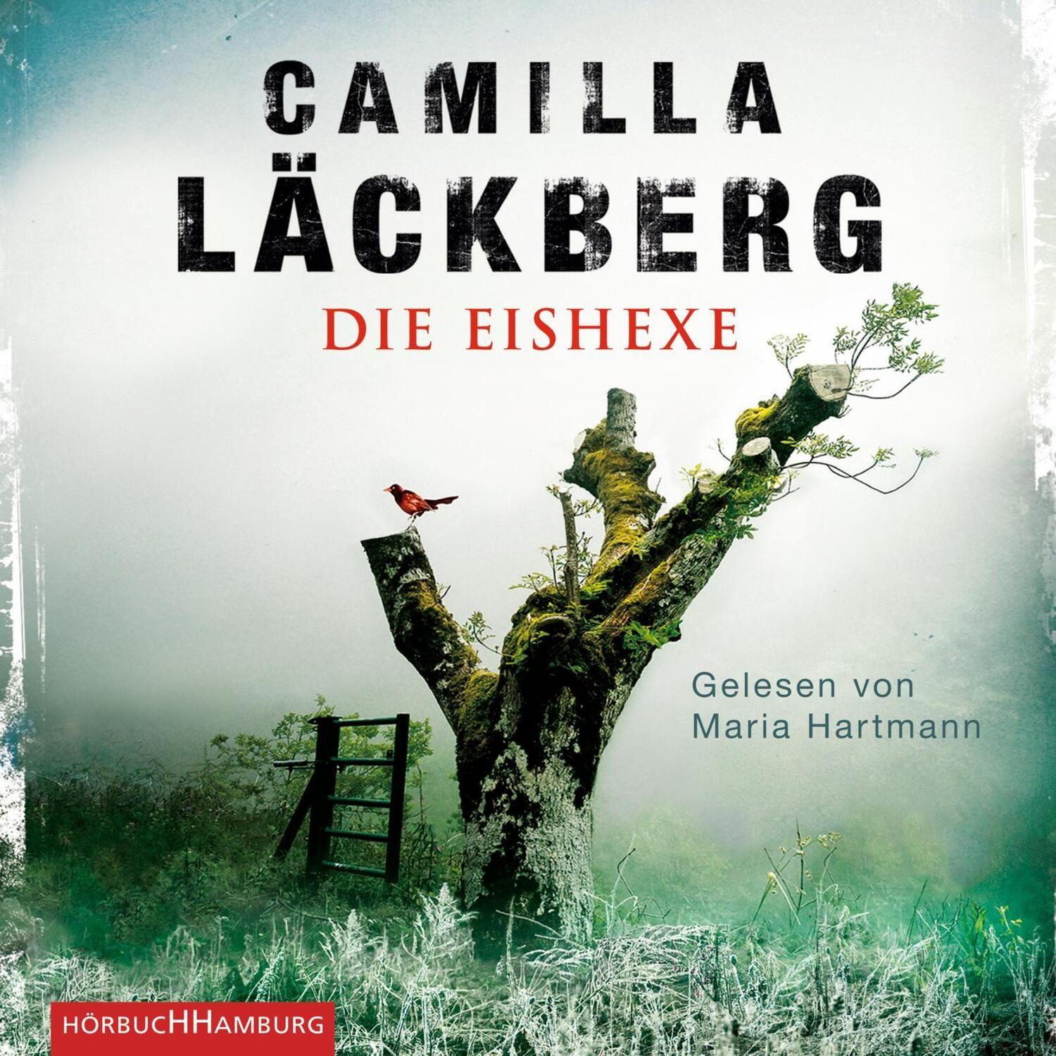 Cover: 9783869092423 | Die Eishexe | 2 CDs | Camilla Läckberg | MP3 | 2 Audio-CDs | Deutsch
