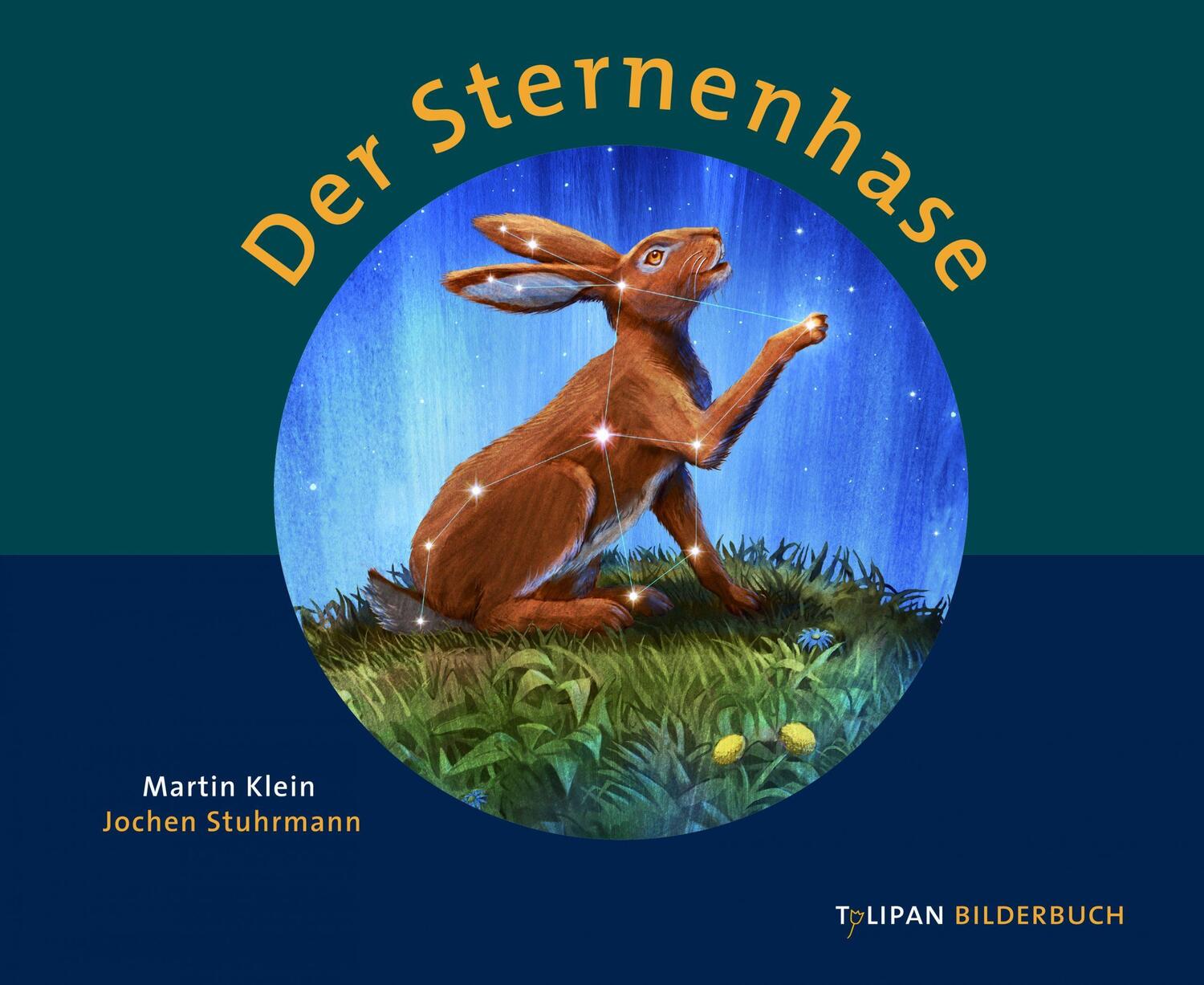 Cover: 9783864292750 | Der Sternenhase | Martin Klein | Buch | 36 S. | Deutsch | 2016