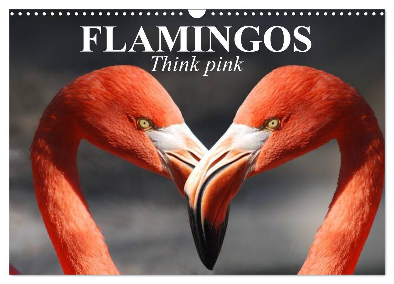 Cover: 9781325895076 | Flamingos Think pink (Wall Calendar 2024 DIN A3 landscape),...