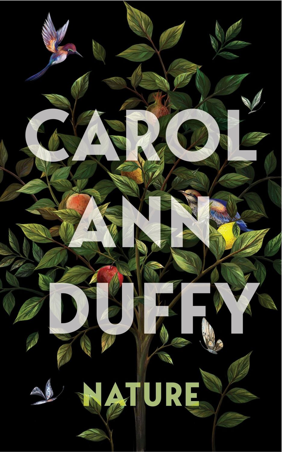 Autor: 9781529096941 | Nature | Carol Ann Duffy | Buch | Gebunden | Englisch | 2023