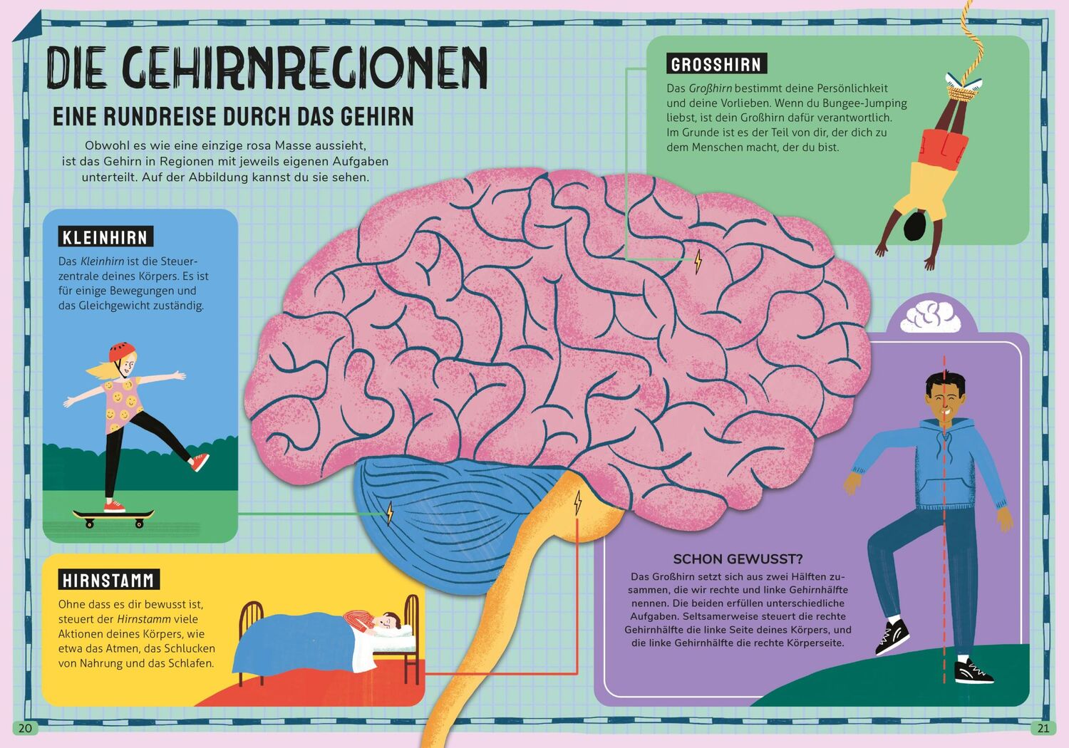 Bild: 9783961294107 | In den Kopf geschaut - Was das Gehirn alles kann | Tim Kennington