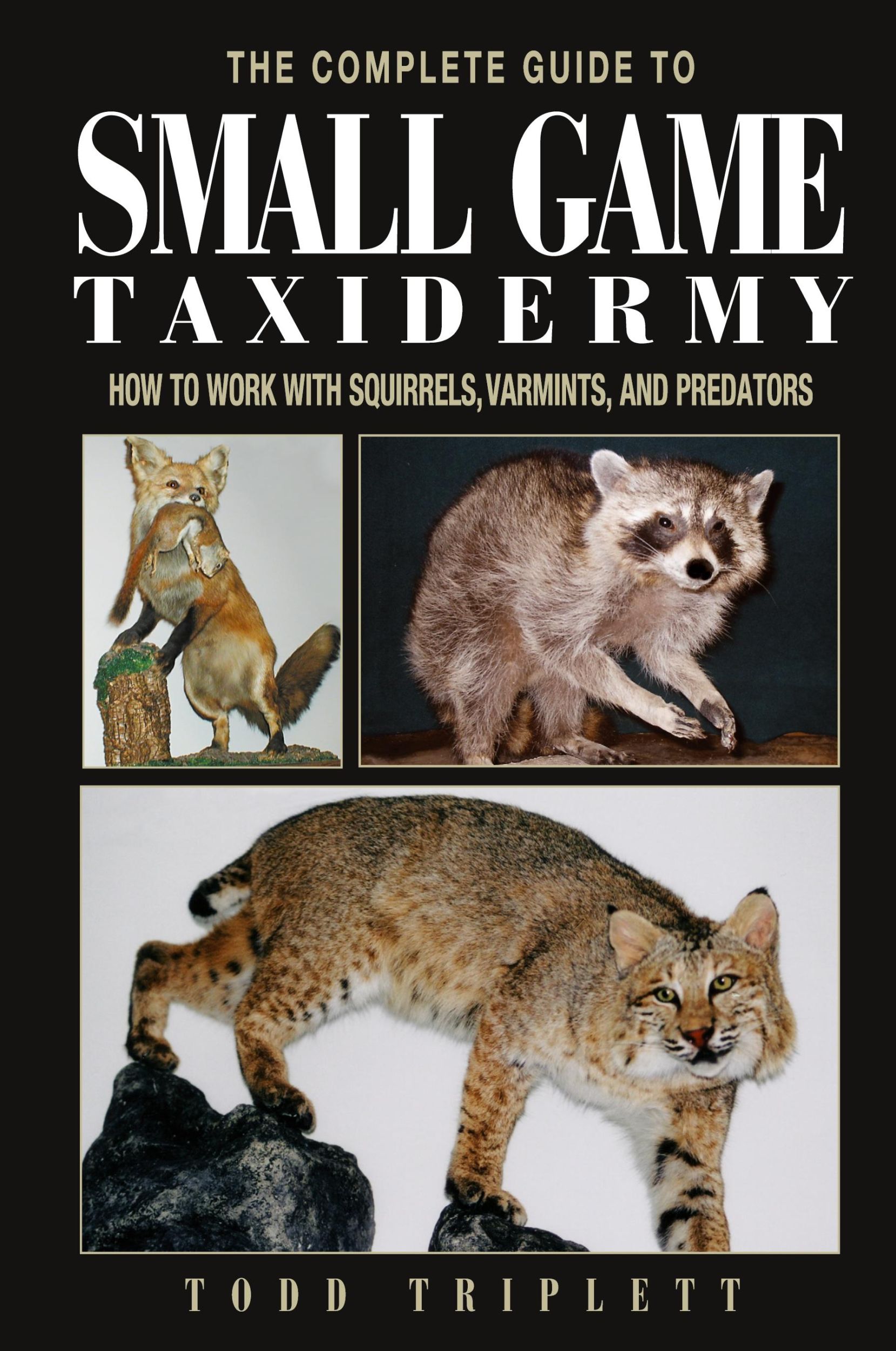 Cover: 9781592281459 | Complete Guide to Small Game Taxidermy | Todd Triplett | Buch | 2003