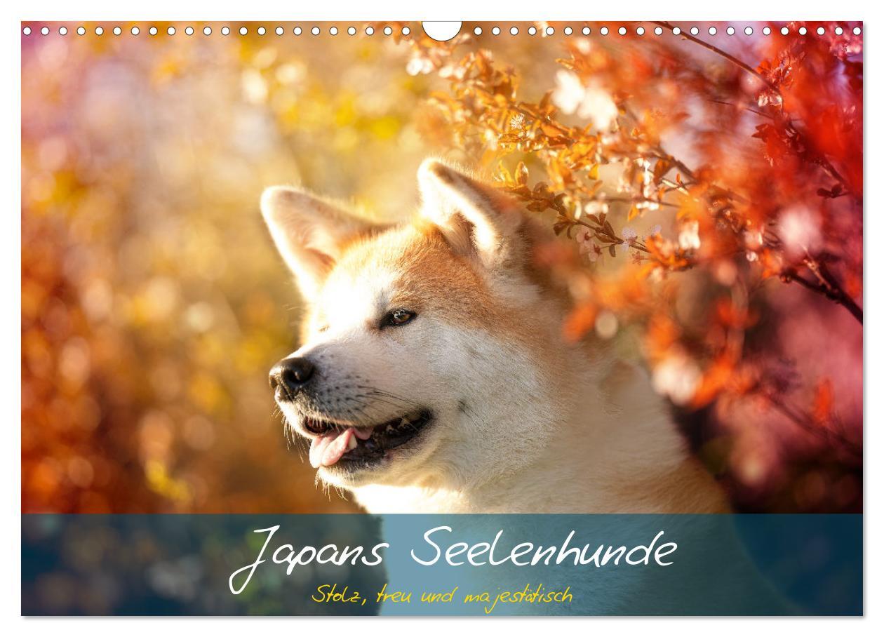 Cover: 9783435101900 | Japans Seelenhunde (Wandkalender 2025 DIN A3 quer), CALVENDO...