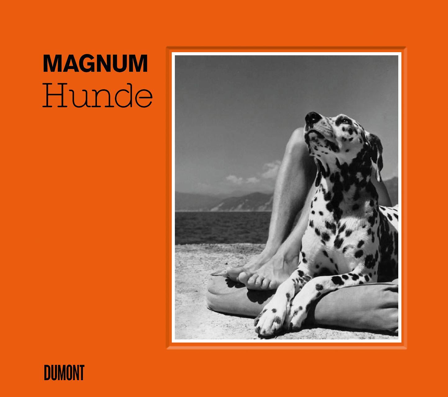 Cover: 9783832199913 | HUNDE | Fotografien aus dem Magnum-Archiv | Magnum Photos | Buch