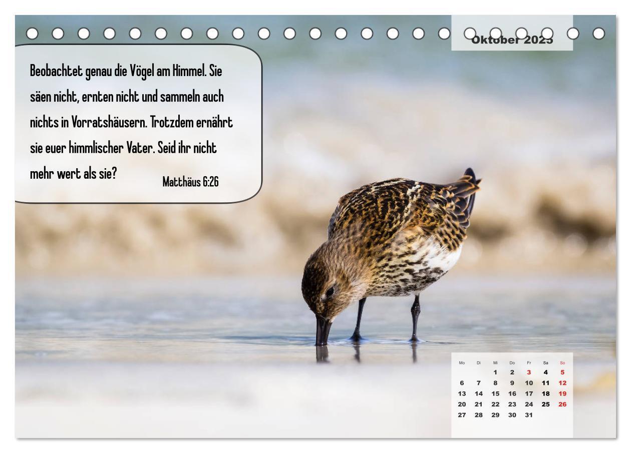 Bild: 9783435123957 | Bibelzitate, die Mut machen! (Tischkalender 2025 DIN A5 quer),...