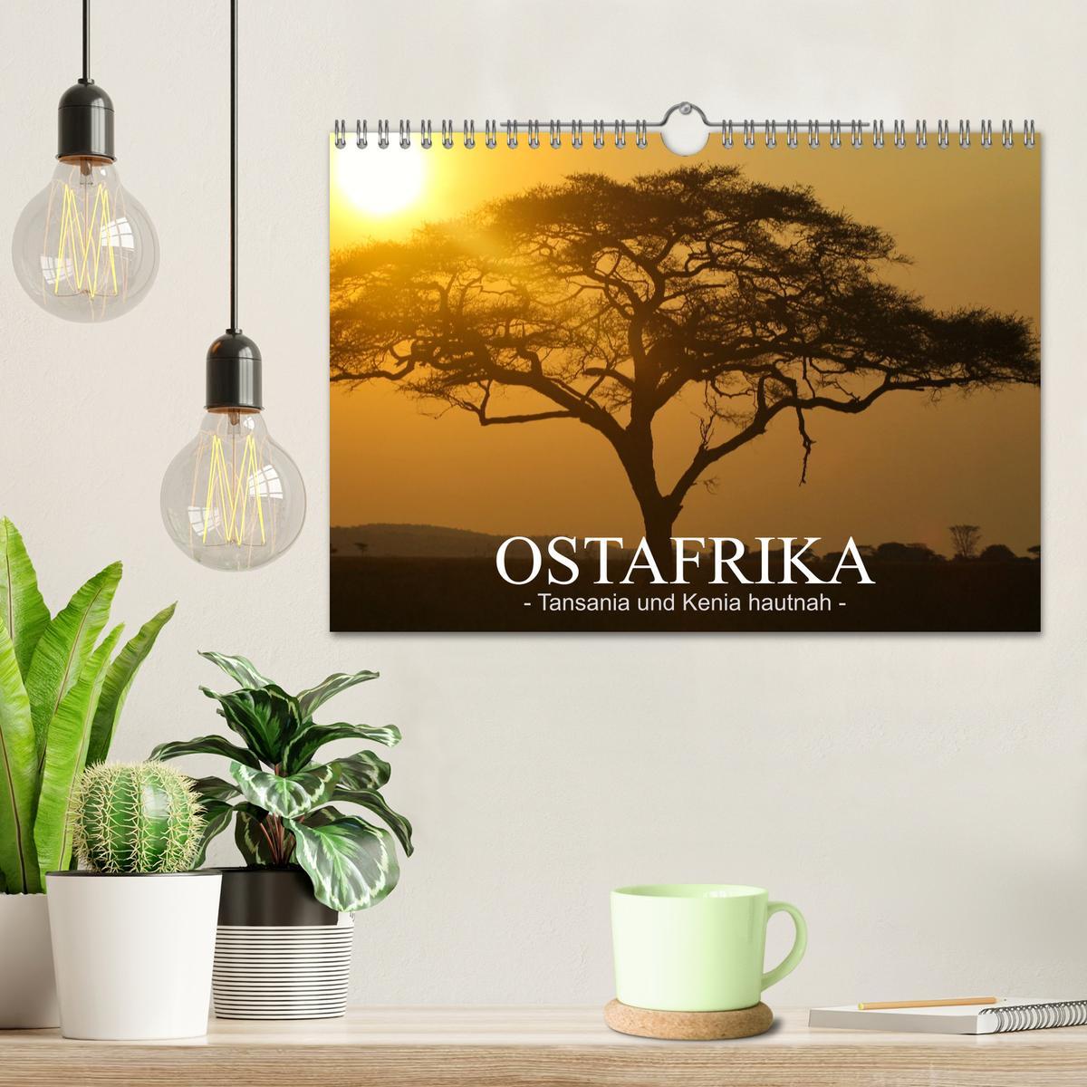 Bild: 9783435093823 | Ostafrika - Tansania und Kenia hautnah (Wandkalender 2025 DIN A4...