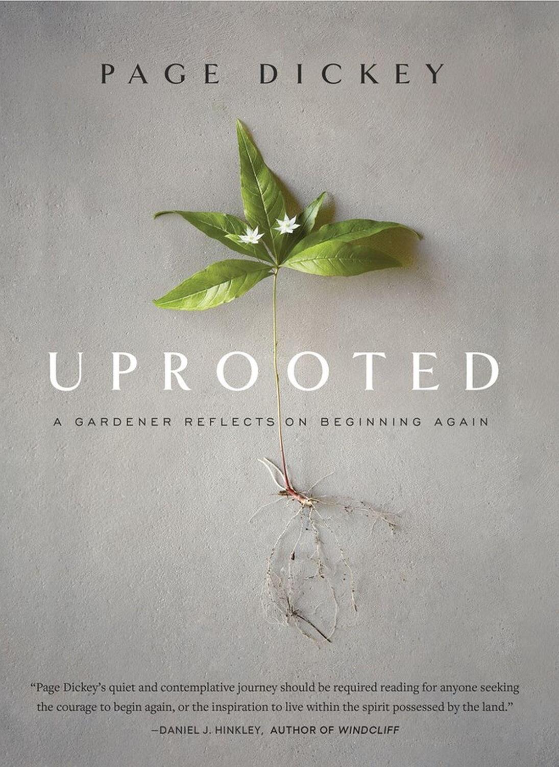Cover: 9781604699579 | Uprooted | A Gardener Reflects on Beginning Again | Page Dickey | Buch