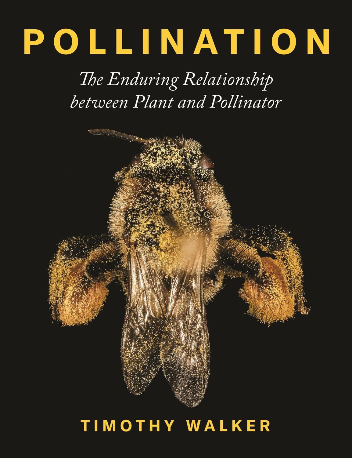 Cover: 9780691203751 | Pollination | The Enduring Relationship Between Plant and Pollinator