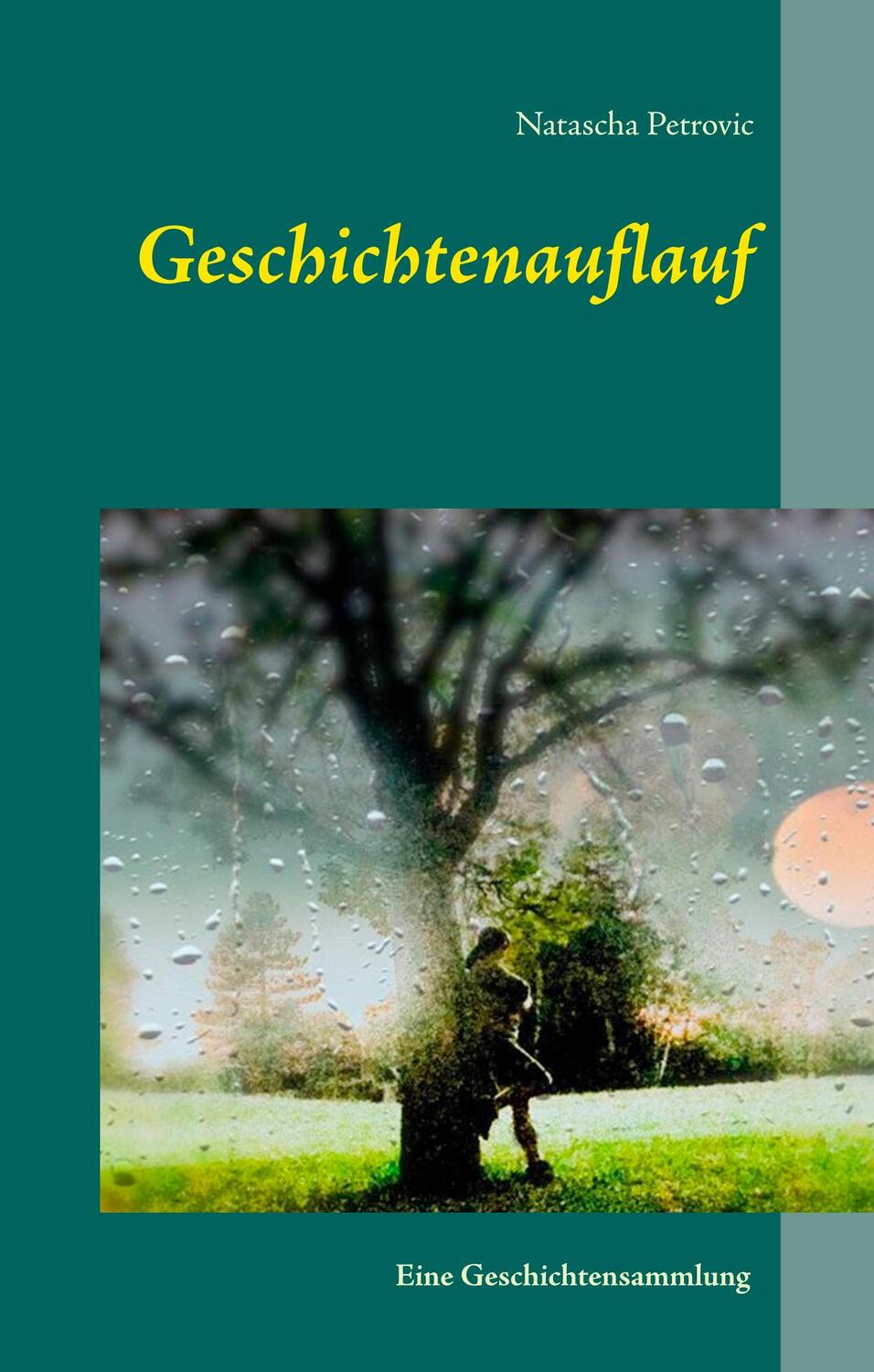 Cover: 9783750431294 | Geschichtenauflauf | Eine Geschichtensammlung | Natascha Petrovic