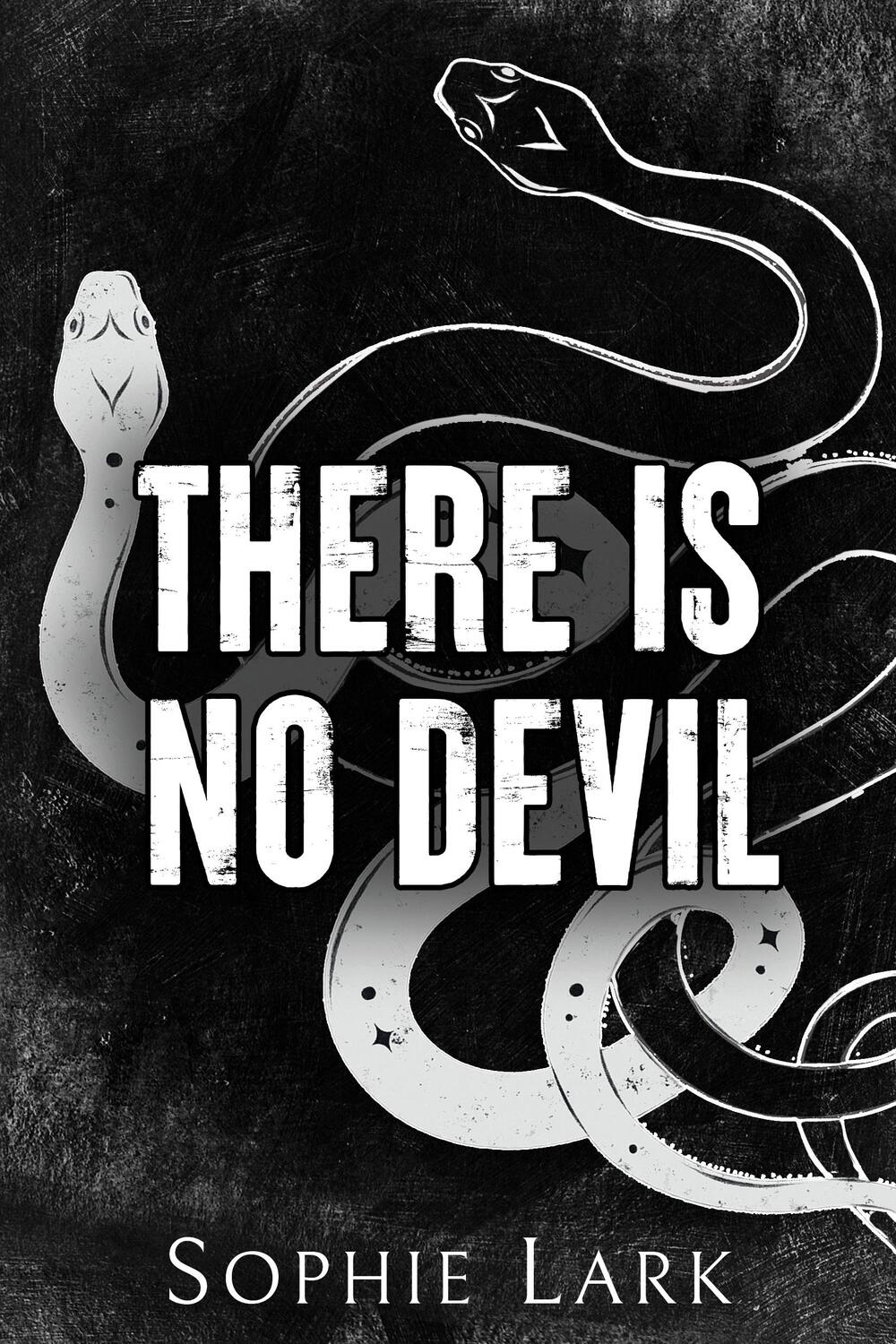 Cover: 9781728295428 | There Is No Devil | Sophie Lark | Taschenbuch | Sinners Duet | 2023