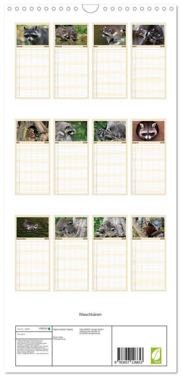 Bild: 9783457126653 | Familienplaner 2025 - Waschbären mit 5 Spalten (Wandkalender, 21 x...