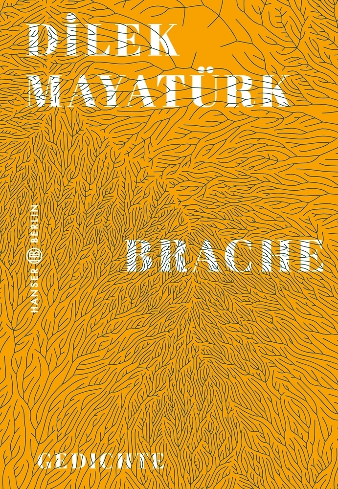 Cover: 9783446267862 | Brache | Gedichte | Dilek Mayatürk | Buch | Deutsch | 2020
