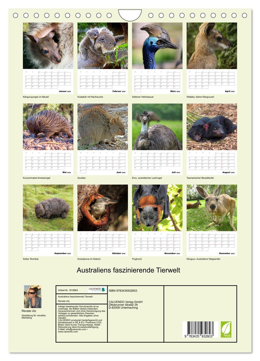 Bild: 9783435932603 | Australiens faszinierende Tierwelt (Wandkalender 2025 DIN A4 hoch),...